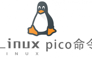 Linux常用命令pico命令具体使用方法