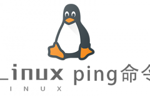Linux常用命令ping命令具体使用方法