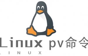 Linux常用命令pv命令具体使用方法