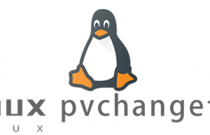 Linux常用命令pvchange命令具体使用方法