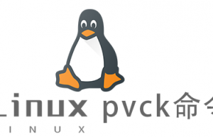 Linux常用命令pvck命令具体使用方法