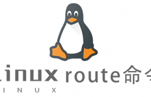 Linux常用命令route命令具体使用方法