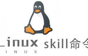 Linux常用命令skill命令具体使用方法