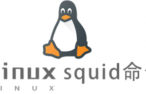 Linux常用命令squid命令具体使用方法