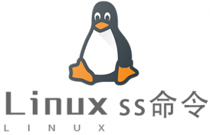 Linux常用命令ss命令具体使用方法