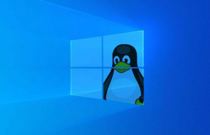 Linux下删除目录软连接正确方法