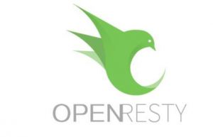 简单分享一下Openresty使用方法