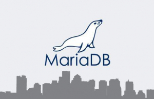 Mariadb中聚合函数和分组函数具体使用方法