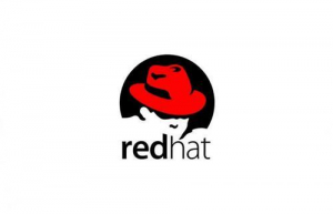 RHEL6虚拟机联网具体方法