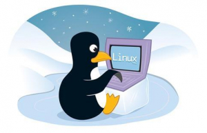Linux下APF的安装和使用