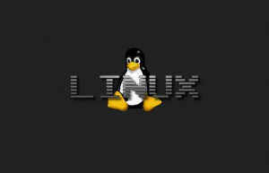 Linux中修改打开文件数量限制具体方法