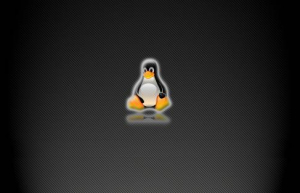 Linux定制sudo密码会话超时的时间