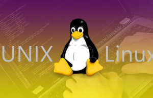 Linux/Unix 磁带管理具体方法