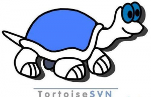 Linux下部署SVN服务器具体步骤