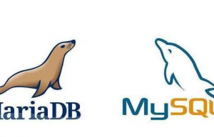 Linux下修改MySQL/MariaDB的Root密码