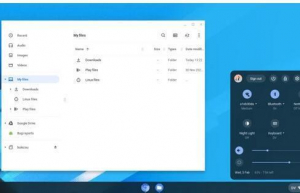 如何使用Linux 上的 Chromebook
