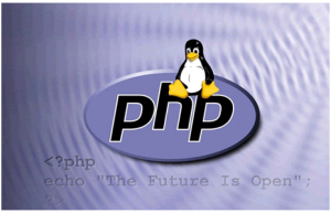 Centos中安装php具体步骤