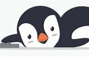 Linux下查看版本信息具体方法