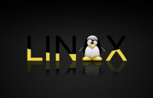 Linux终端查看图片具体方法