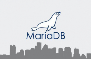 Ubuntu下安装MariaDB具体步骤