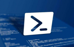 详解Linuxscript命令