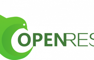 openresty替换nginx具体方法