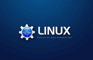 Linux下查看文件系统类型具体方法