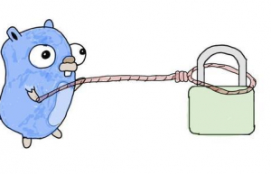 Linux系统下安装Caddy具体方法