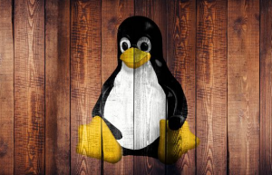 详解Linux进程及作业管理