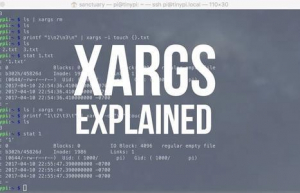 详解xargs命令使用方法