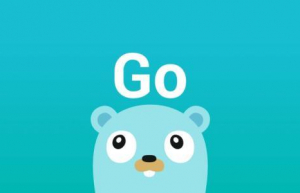 Fedora中安装Go语言具体方法
