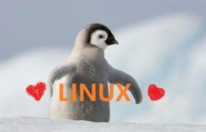 Linux中如何对环境变量文件进行备份