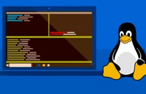 详解Linux系统备份