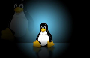 不同Linux发行版卸载安装包具体方法