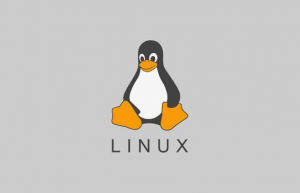 Linux命令echo使用方法