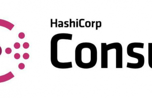 Linux下安装consul具体步骤