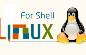 详解shell for循环