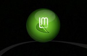 Win10系统中安装Linux Mint具体方法