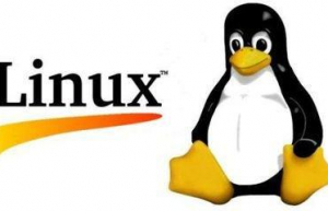Linux中查看命令使用方法技巧