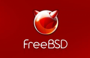 详解FreeBSD中的常用操作