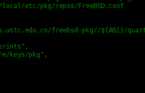 FreeBSD 13中安装MySQL数据库具体方法