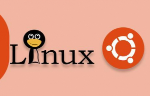 Ubuntu系统释放磁盘空间具体方法