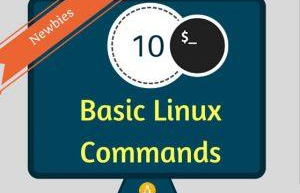 Linux初学者必备的10条命令