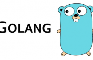 Linux下安装Golang具体步骤
