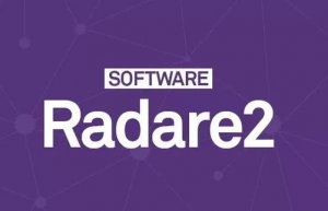 Linux下radare2使用方法