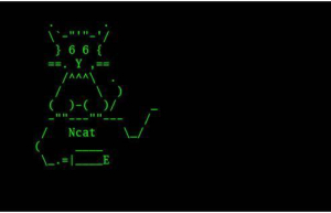 Linux ncat命令使用实例