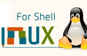 使用shell脚本查看网络接口信息