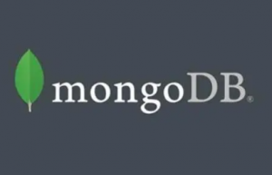 Linux 上配置 mongodb具体方法