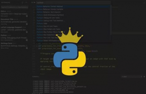 Linux下升级python具体方法