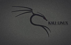 VirtualBox 上安装 Kali Linux具体步骤